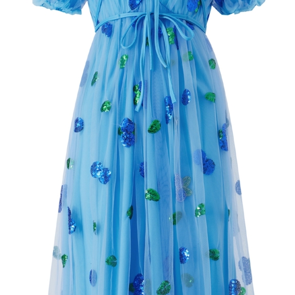 Blue Tulle Dress with Sequin Accents - Picture 1 of 1